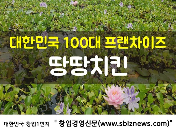 대한민국 100대 프랜차이즈‘땅땅치킨’