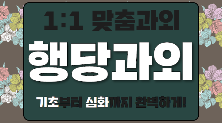  행당대림 수학과외 중학생 행당한진 초등 영어시작 영어과외 독해문법
