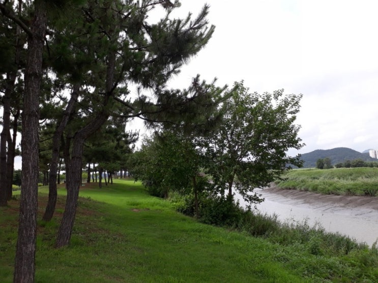  우리의 마음 속을 알아보시려는 하나님