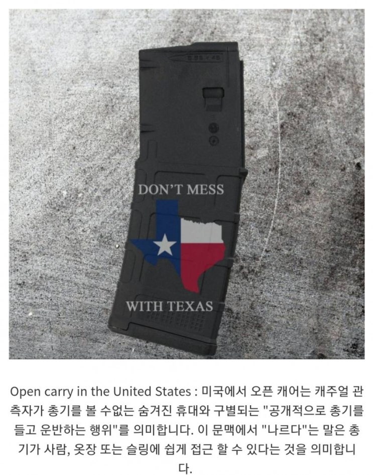  천조국 텍사스 근황