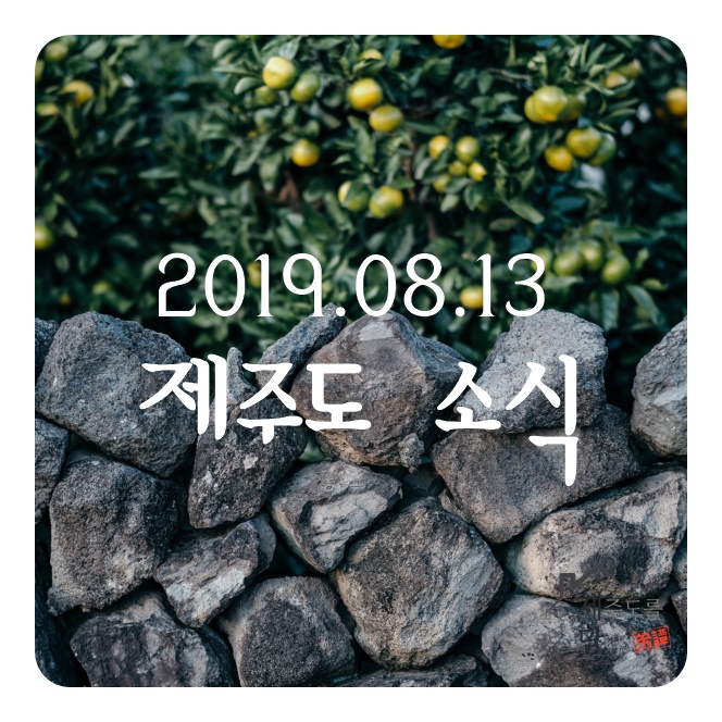  8/13 제주도 14일 오후부터 태풍 크로사 간접 영향권