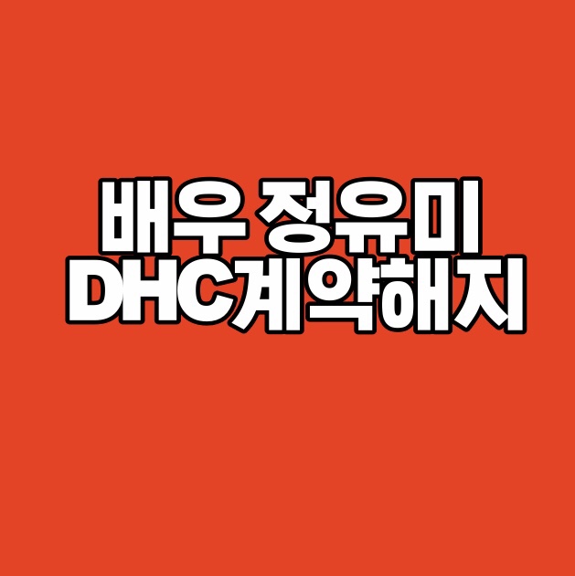 배우 정유미 DHC 계약 해지  정유미 소속사 입장전문