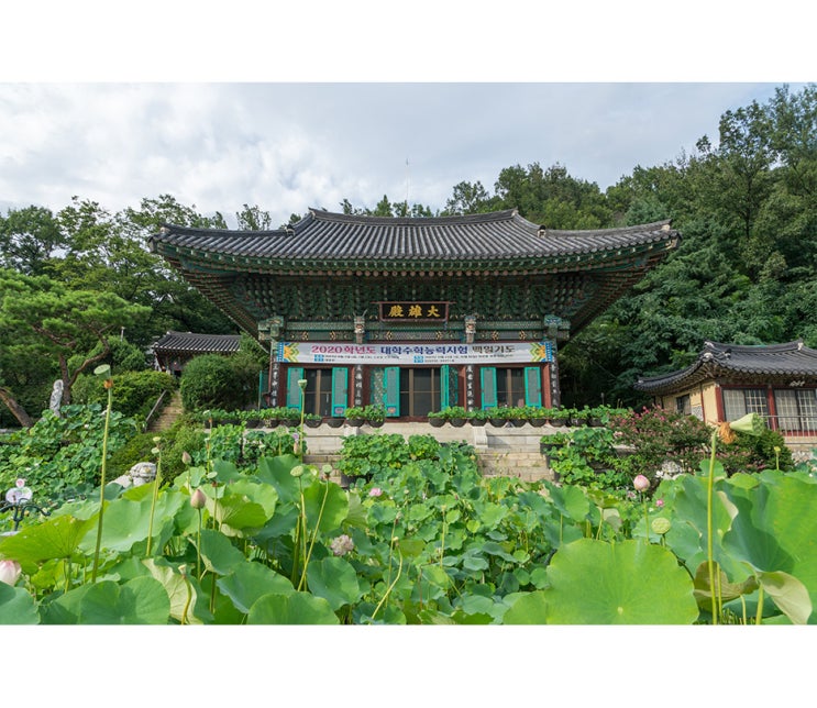  한국불교태고종의 본산 봉원사