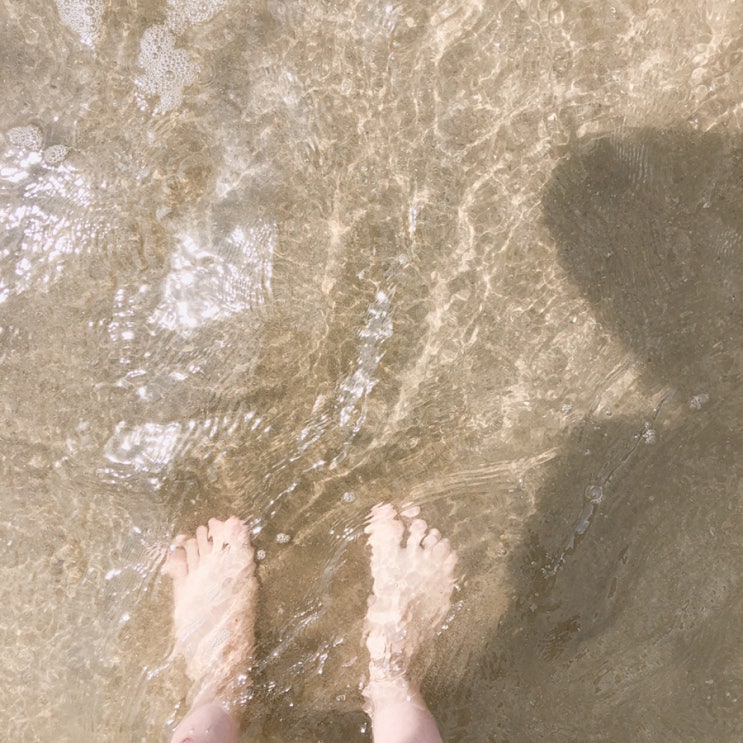  8월 #2