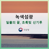 [녹색섬광] 일몰의 끝, 초록빛 신기루