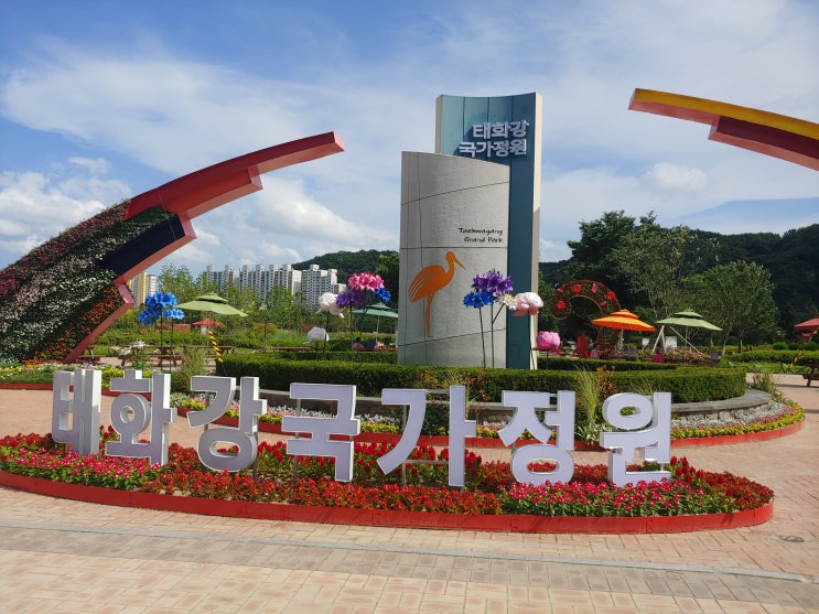  울산 태화강 국가정원 십리대숲 7월28일~31일 휴가여행 3-1탄 태화강이 공원이라 생각하고 방문 했지만 어지간한 축제장 이상으로 큰 규모와 잘 관리 되는 국가 정원이 좋았습니다.