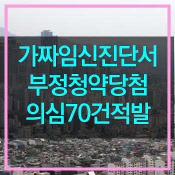  가짜임신진단서 아파트 특별공급 부정청약 무더기 적발! 양심도 없다.