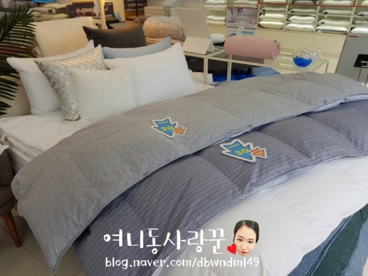  대전이브자리 시원한 여름이불 보고 왔어요! (feat. 시즌오프행사)