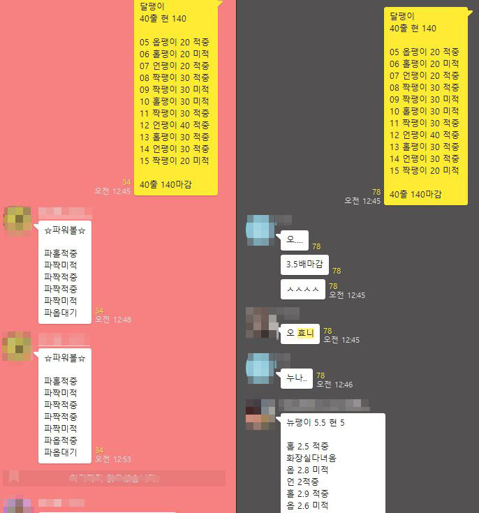  NEW 달팽이, 뉴달팽이로 프로젝트 성공! 수익성공!