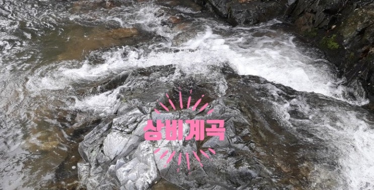  고령계곡 불타는 청춘 방송 탄 상비리계곡에서 브루노씨 사인이요!