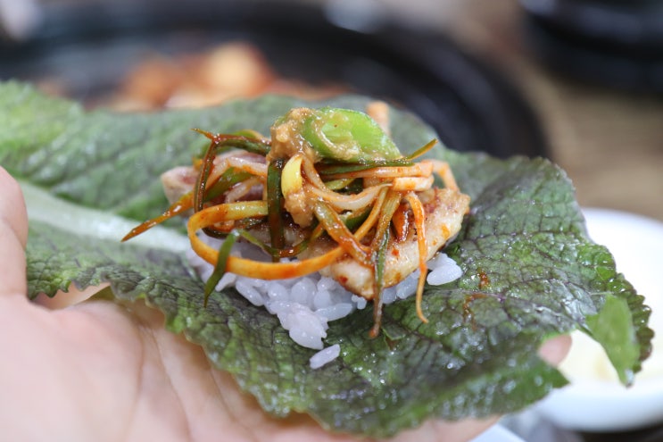  안산 쌈밥 맛집 맛있는녀석들 팀도 다녀간곳+_+