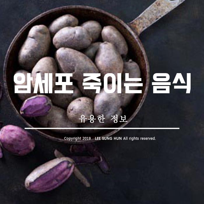  천연 면역항암제 음식 5가지