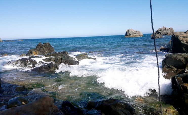 울산가볼만한곳 주전몽돌해변과 정자해변 정자활어직매장