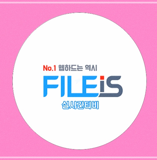  실시간 티비 주말을 알차게 보내기~