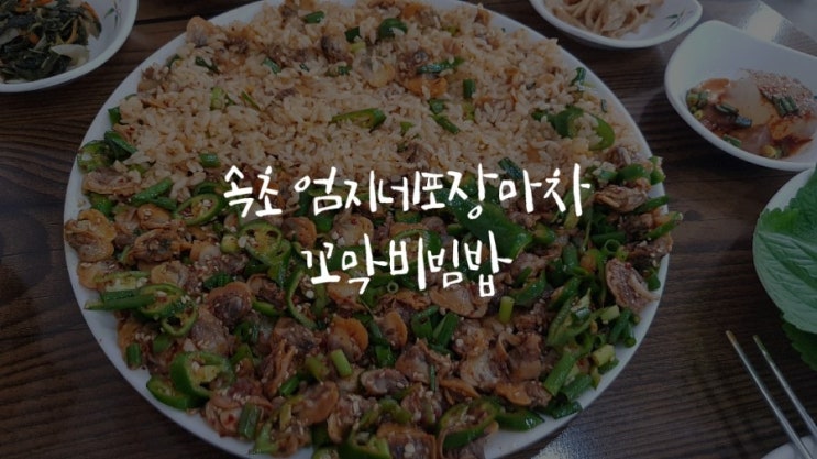  [속초 맛집] 속초 엄지네 포장마차 속초점 꼬막비빔밥 주차&가격&메뉴
