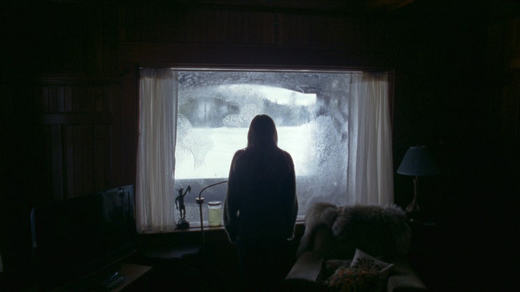  별장에서 생긴 일(the Lodge, 2019)