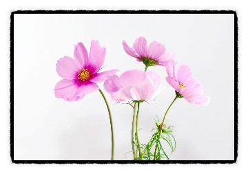  짫고 예쁜시~2