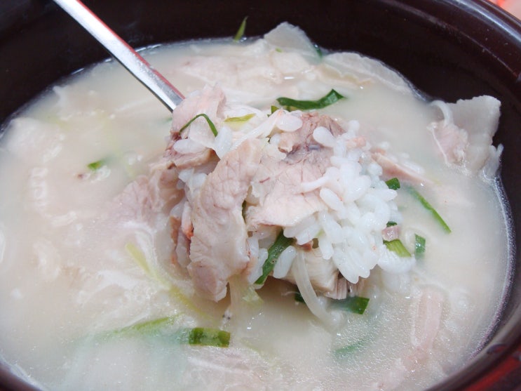  [경상남도 통영 맛집] 통영도남동맛집 돼지국밥 밀양국밥 메뉴&가격