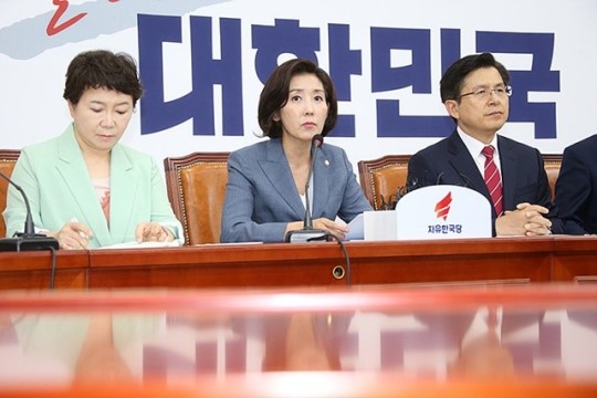  자유한국당 최고위원회 는 일베게시판?정미경공로명