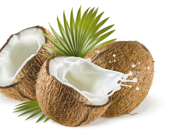 맛있는 건강음료 코코넛 워터의 10가지 효능