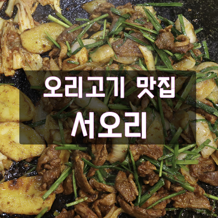 춘천 만천리 맛집 : 넓은 철판에 몸에 좋고 맛도 좋은 오리 주물럭을 맛볼수 있는 서오리!