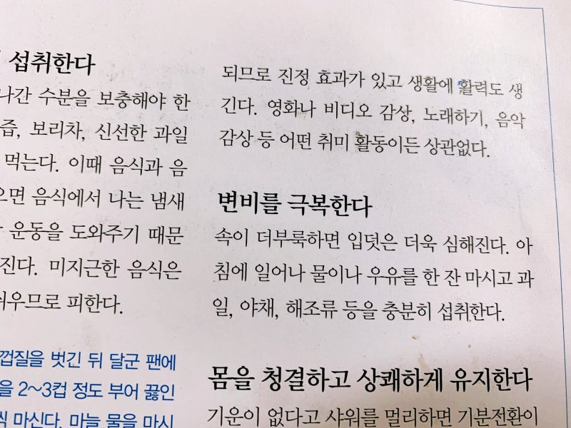 임신 초기 변비, 진짜 경험담, 심한 시기에 도움이 된 음식