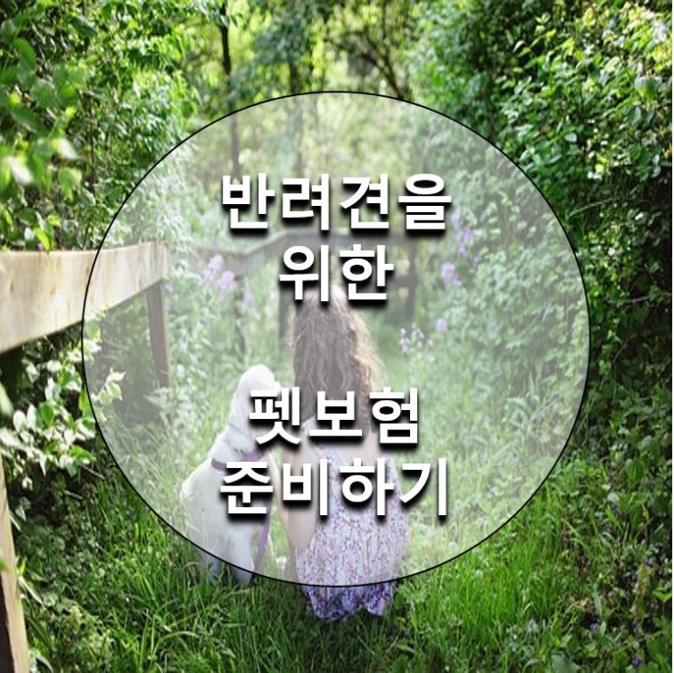  반려견을 위한 준비 - 펫보험 가입하기