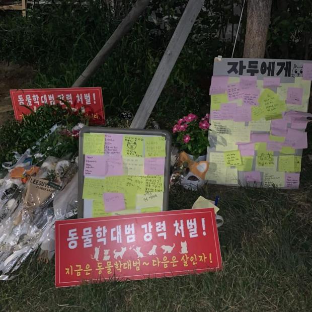  경의선 숲길 고양이 학대 처벌 청원, 청와대 답변요건 20만 넘겼다