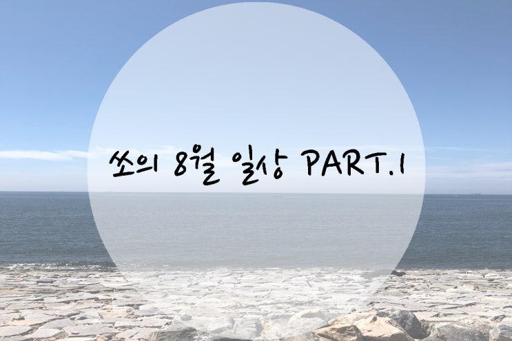  쏘의 8월 일상 첫번째 이야기