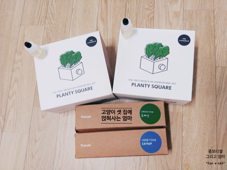  플랜티스퀘어 캣닢세트 / 플랜티스퀘어 로메인 세트 구매 후기