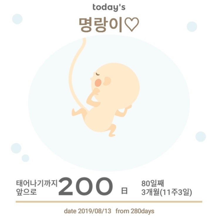 18편 "12주 기적을 기대하며~" 18편 "12주 기적을 기대하며~"