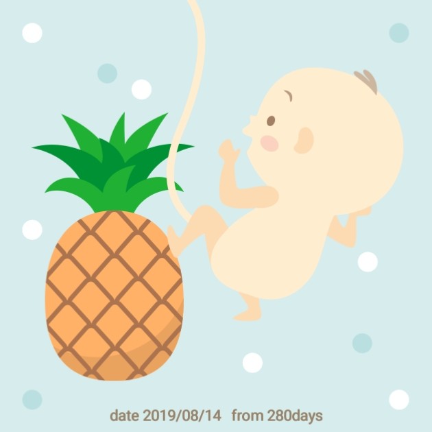  [임신일기/27주1일] 나의 증상, 태아의 발달 과정, 27주 체중!