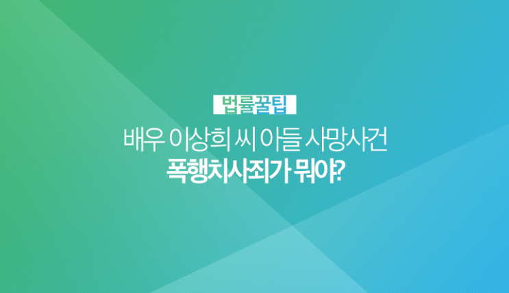  배우 이상희씨 아들 폭행치사 사건 들여다보기 #폭행치사죄 #폭행치사 #폭행 #배우이상희