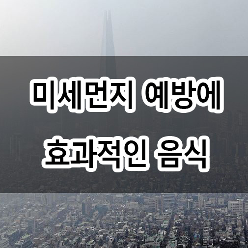  미세먼지 예방에 효과적인 음식은 어떤 게 있을까?