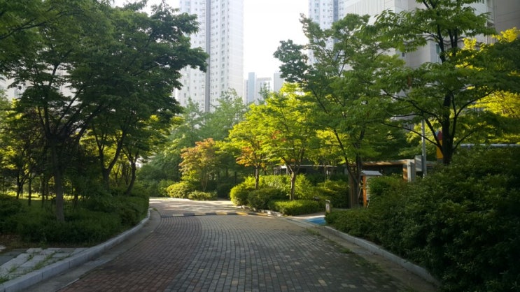  새벽기상 다시 도전합니다~