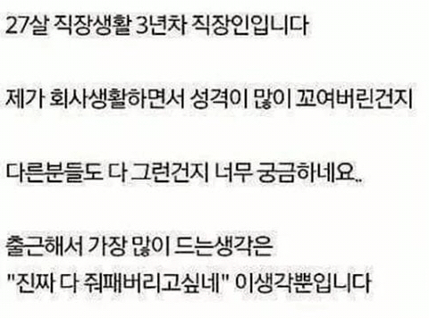  잘 살고있는듯한 3년차 직장인