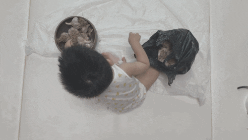 아이와 같이 마늘을 까는 이유 (마늘 오감놀이?)