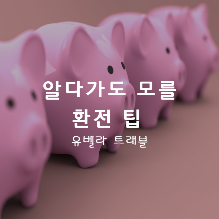  01. 여행 환전 팁