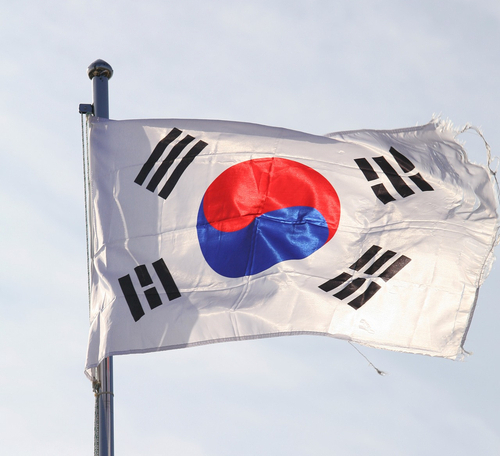 [밀양시] 광복절 기념 봉대마을 태바라기 축제 케이스원격평생교육원