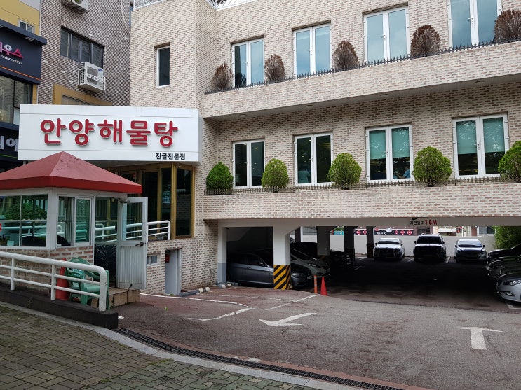  [부산 맛집 추천] 안양해물탕 후기