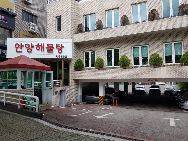 [부산 맛집 추천] 안양해물탕 후기