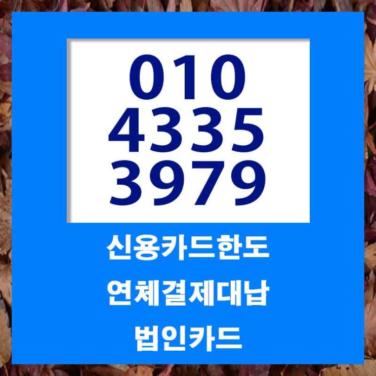  카드대납대출 대전 부산 잔여 한도 업체 모조리 다 챙겨가세요