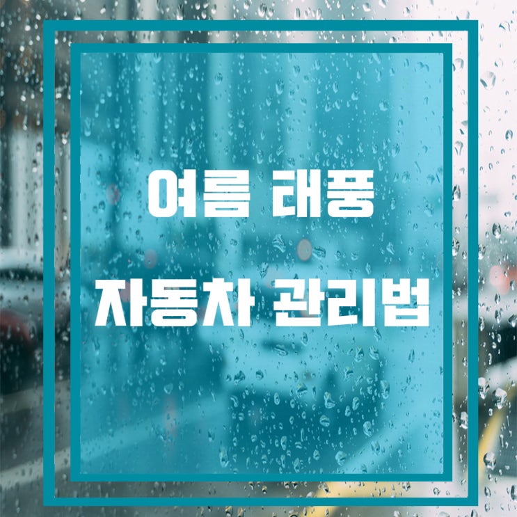  [차량관리/정보] 여름철 태풍 자동차 관리 방법 알려드려요