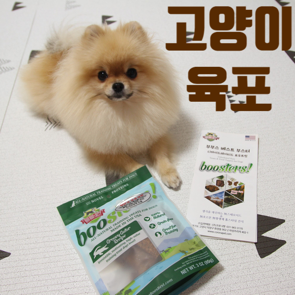  매력적인 향과 식감의 고양이 육포