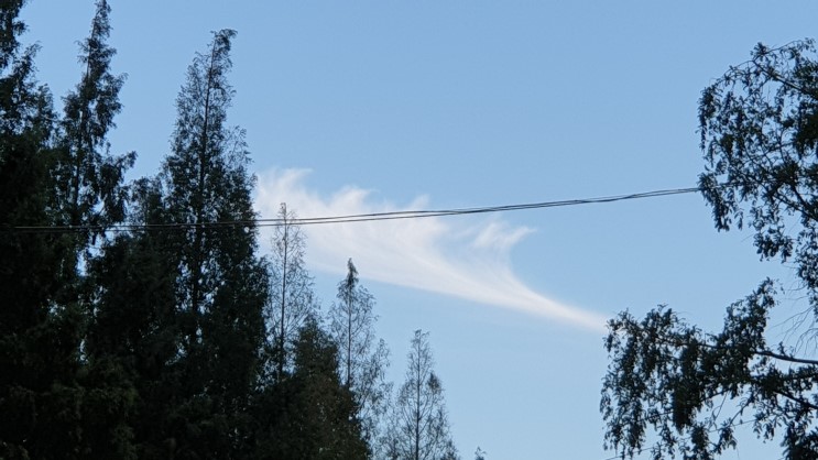 2019.08.14 오후풍경. 하늘에 구름들이  이쁘구나. 새?비행기로 보이는 구름. 후~ 부르는 구름.