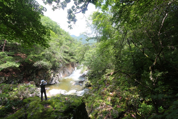 홍천의 용소계곡길을 걷다