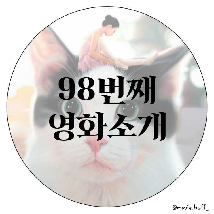 8월 개봉 예정영화 나만 없어 고양이