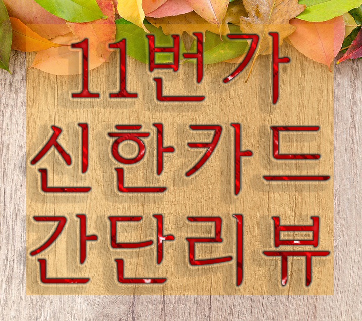  11번가 신한카드 간단 상품리뷰