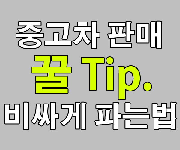  중고차포터매입 가장 가격 많이 쳐주는 곳!