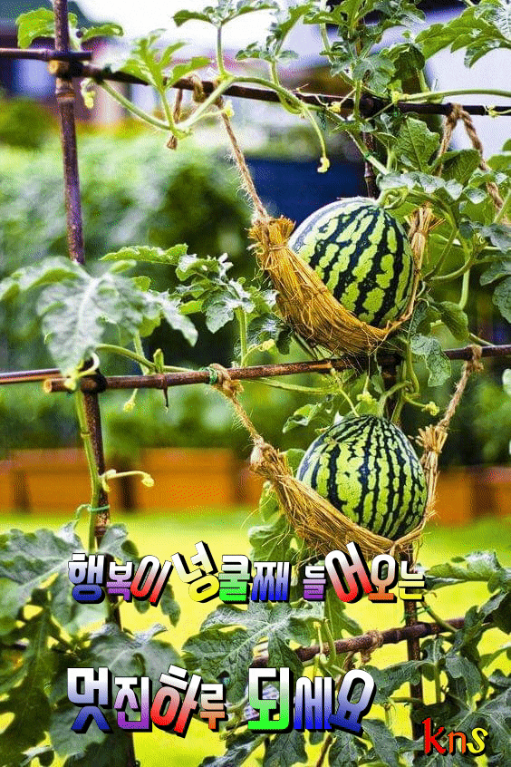  2019년 8월 14일 신문을 통해 알게 된 이야기들...